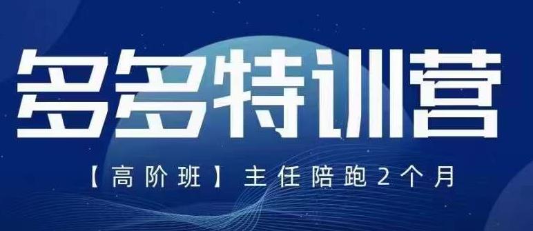 纪主任·5月最新多多特训营高阶班，玩法落地实操，多多全掌握-赚金金-技能学习分享