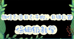 微信互推圈半自动引流方案,矩阵操作日引千人思路【详细视频教程】-赚金金-技能学习分享