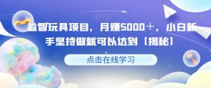 益智玩具项目,月赚5000+,小白新手坚持做就可以达到【揭秘】-赚金金-技能学习分享