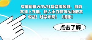 有道词典WOW社区蓝海项目,目前高速上升期,新人小白都可以换取高收益!赶紧布局!【揭秘】-赚金金-技能学习分享