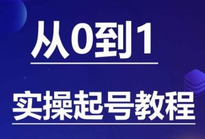 石野·小白起号实操教程,掌握各种起号的玩法技术,了解流量的核心-赚金金-技能学习分享