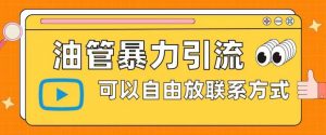 油管暴力引流,可以自由放联系方式【揭秘】-赚金金-技能学习分享