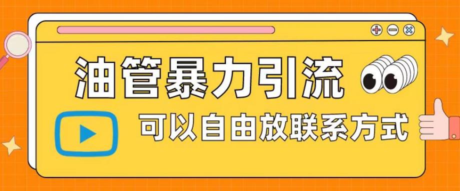 油管暴力引流，可以自由放联系方式【揭秘】-赚金金-技能学习分享