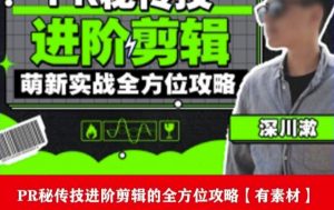 PR进阶剪辑培训班,让你快速成为剪辑大师12节视频课程+素材!-赚金金-技能学习分享