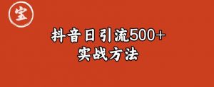 宝哥抖音直播引流私域的6个方法，日引流500+-赚金金-技能学习分享