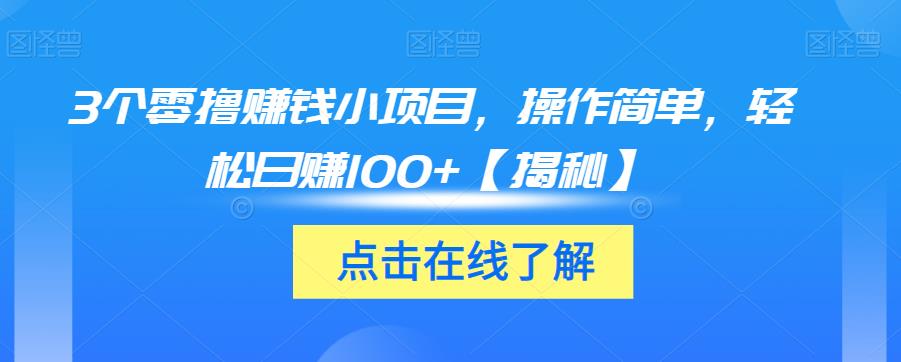 3个零撸赚钱小项目，操作简单，轻松日赚100+【揭秘】-赚金金-技能学习分享