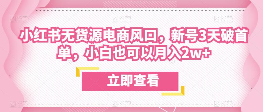 众狼电商余文小红书无货源电商风口，新号3天破首单，小白也可以月入2w+-赚金金-技能学习分享
