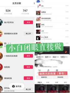 一天做完别一辈子的视频制作最近很火的《1000个野路子信息差》100%过原创【揭秘】-赚金金-技能学习分享