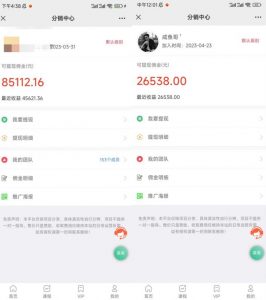 闲鱼流量掘金-虚拟变现新玩法配合全网项目库,精准引流变现3W+-赚金金-技能学习分享