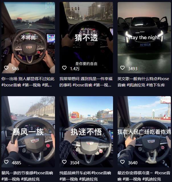 抖音开车视频项目，0基础操作，每天五分钟，月入1W+【揭秘】-赚金金-技能学习分享