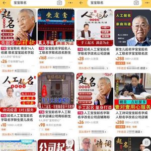 拆解小红书宝宝起名虚拟副业项目,一条龙实操玩法分享给你(教程+软件)-赚金金-技能学习分享