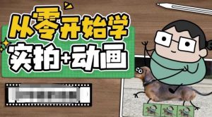 从零开始学实拍加动画,实拍加动画创意教程-赚金金-技能学习分享