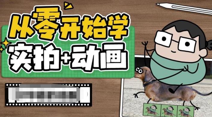 从零开始学实拍加动画，实拍加动画创意教程-赚金金-技能学习分享