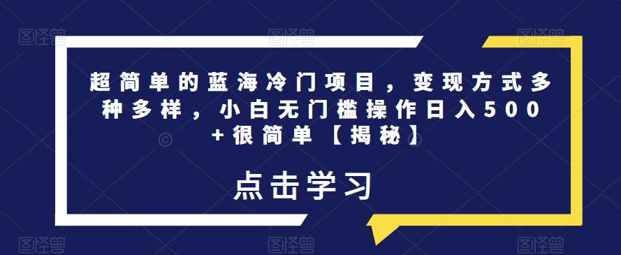 超简单的蓝海冷门项目，变现方式多种多样，小白无门槛操作日入500+很简单【揭秘】-赚金金-技能学习分享