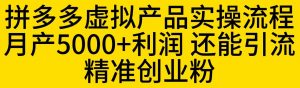 拼多多虚拟产品实操流程,月产5000+利润,还能引流精准创业粉【揭秘】-赚金金-技能学习分享