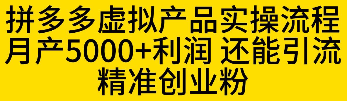 拼多多虚拟产品实操流程，月产5000+利润，还能引流精准创业粉【揭秘】-赚金金-技能学习分享