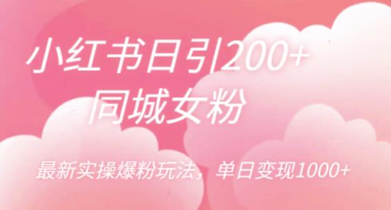 小红书日引200+同城女粉，最新实操爆粉玩法，单日变现1000+【揭秘】-赚金金-技能学习分享