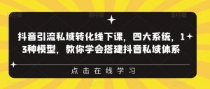 抖音引流私域转化线下课,四大系统,13种模型,教你学会搭建抖音私域体系-赚金金-技能学习分享