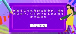 破解小红书运营的流量密码,揽获意向客户,让你的小红书高点赞多粉丝高转化-赚金金-技能学习分享