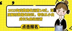 2023淘宝数据化运营14式,深度解析数据化知识,帮你从小白成长为高级运营-赚金金-技能学习分享