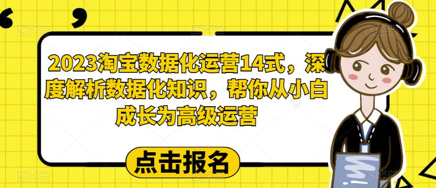 2023淘宝数据化运营14式，深度解析数据化知识，帮你从小白成长为高级运营-赚金金-技能学习分享