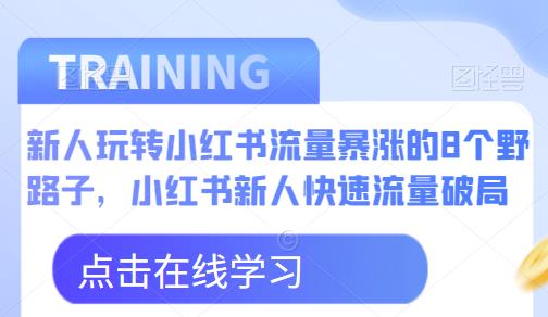 新人玩转小红书流量暴涨的8个野路子，小红书新人快速流量破局-赚金金-技能学习分享