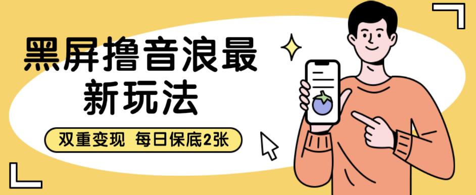 黑屏撸音浪最新玩法，双重变现，每日保底2张【揭秘】-赚金金-技能学习分享