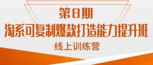 淘系可复制爆款打造能力提升班,这是一套可复制的打爆款标准化流程-赚金金-技能学习分享