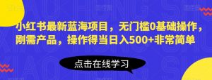小红书最新蓝海项目,无门槛0基础操作,刚需产品,操作得当日入500+非常简单【揭秘】-赚金金-技能学习分享