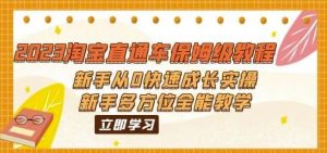 2023淘宝直通车保姆级教程:新手从0快速成长实操,新手多方位全能教学-赚金金-技能学习分享