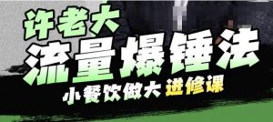 许老大流量爆锤法,小餐饮做大进修课,一年1000家店亲身案例大公开-赚金金-技能学习分享