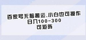 百家号无脑搬运,小白也可操作,日入100-300,可矩阵【仅揭秘】-赚金金-技能学习分享