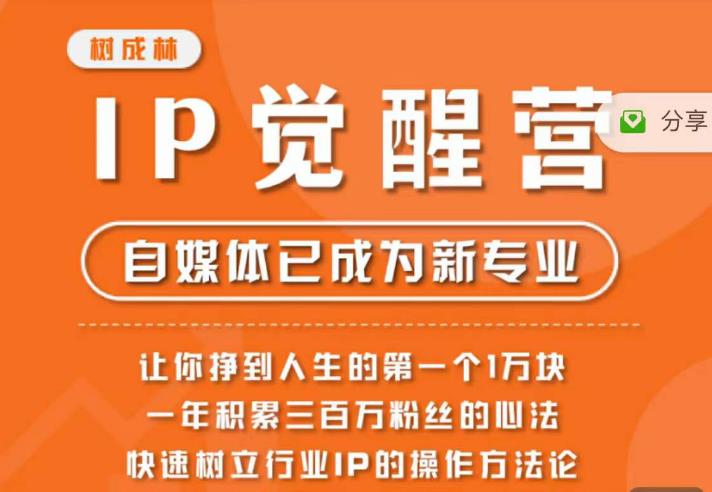 树成林·IP觉醒营，快速树立行业IP的操作方法论，让你赚到人生的第一个1万块（更新）-赚金金-技能学习分享