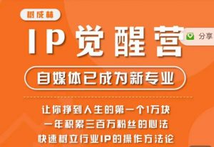 树成林·IP觉醒营,快速树立行业IP的操作方法论,让你赚到人生的第一个1万块-赚金金-技能学习分享
