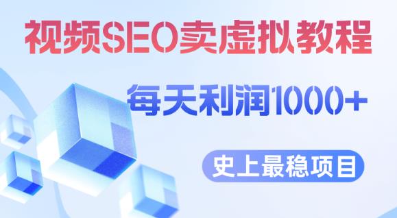 视频SEO出售虚拟产品每天稳定2-5单利润1000+史上最稳定私域变现项目【揭秘】-赚金金-技能学习分享