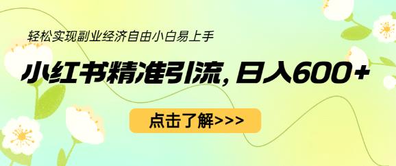 小红书精准引流，小白日入600+，轻松实现副业经济自由（教程+1153G资源）-赚金金-技能学习分享