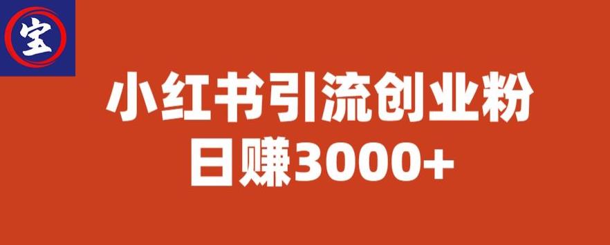 宝哥小红书引流创业粉，日赚3000+【揭秘】-赚金金-技能学习分享