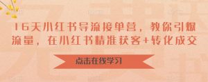 16天小红书导流接单营,教你引爆流量,在小红书精准获客+转化成交-赚金金-技能学习分享
