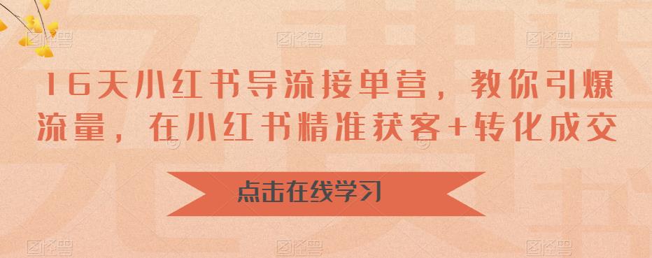 16天小红书导流接单营，教你引爆流量，在小红书精准获客+转化成交-赚金金-技能学习分享