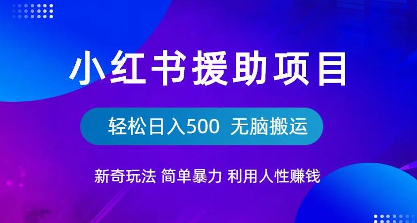 小红书援助项目新奇玩法，简单暴力，无脑搬运轻松日入500【揭秘】-赚金金-技能学习分享