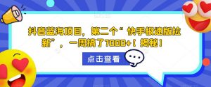 抖音蓝海项目,第二个“快手极速版拉新”,一周搞了7000+【揭秘】-赚金金-技能学习分享