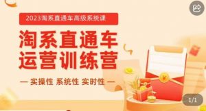 冠东·2023淘系直通车高级系统课,实操性,系统性,实时性,直通车完整体系教学-赚金金-技能学习分享