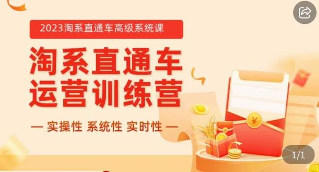 冠东·2023淘系直通车高级系统课，​实操性，系统性，实时性，直通车完整体系教学-赚金金-技能学习分享