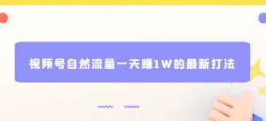 视频号自然流量一天赚1W的最新打法,基本0投资【揭秘】-赚金金-技能学习分享