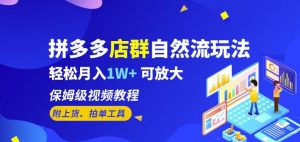 拼多多店群自然流玩法,轻松月入1W+保姆级视频教程(附上货、拍单工具)-赚金金-技能学习分享