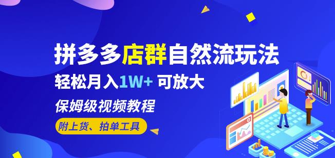 拼多多店群自然流玩法，轻松月入1W+保姆级视频教程（附上货、拍单工具）-赚金金-技能学习分享