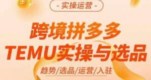 伍跃·跨境拼多多TEMU实操与选品,趋势/选品/运营/入住(27节完整)-赚金金-技能学习分享