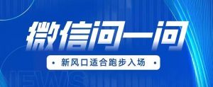 全网首发微信问一问新风口变现项目(价值1999元)【揭秘】-赚金金-技能学习分享