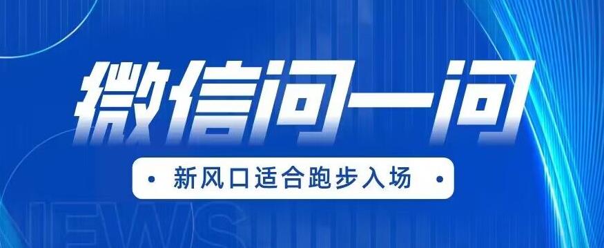 全网首发微信问一问新风口变现项目（价值1999元）【揭秘】-赚金金-技能学习分享