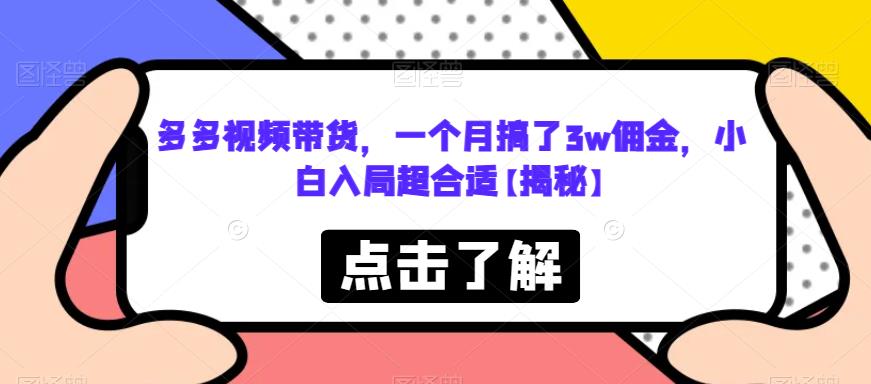 多多视频带货，一个月搞了3w佣金，小白入局超合适【揭秘】-赚金金-技能学习分享